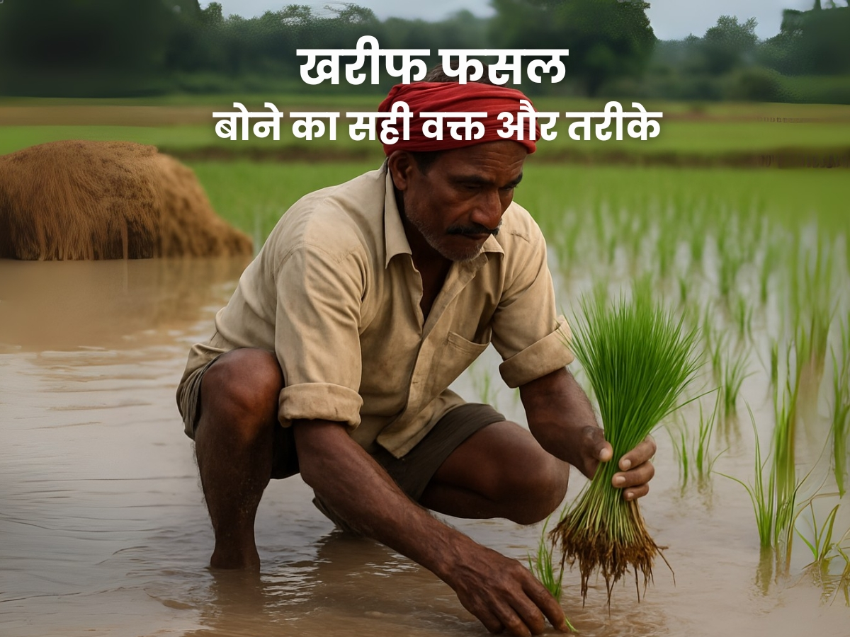 खरीफ फसल बोने का सही वक्त और तरीके